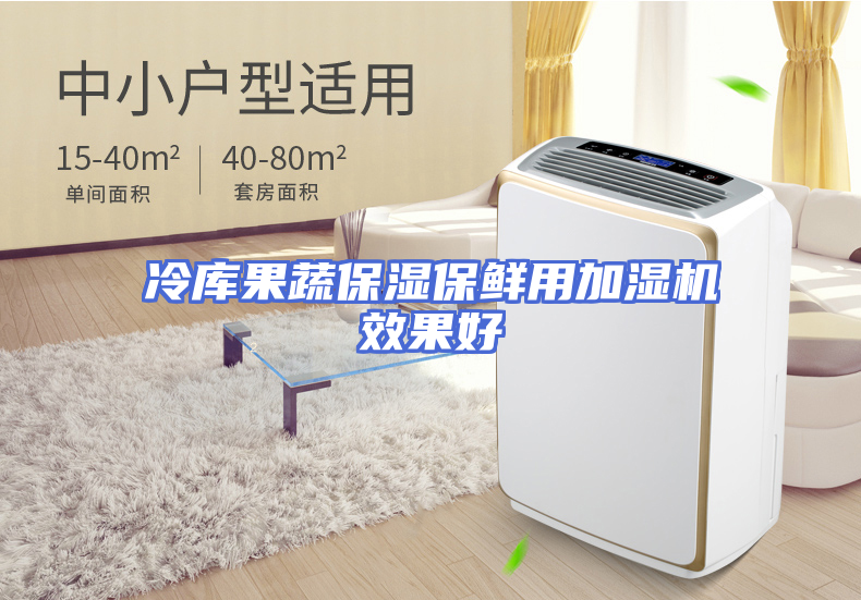 冷库果蔬保湿保鲜用加湿机效果好