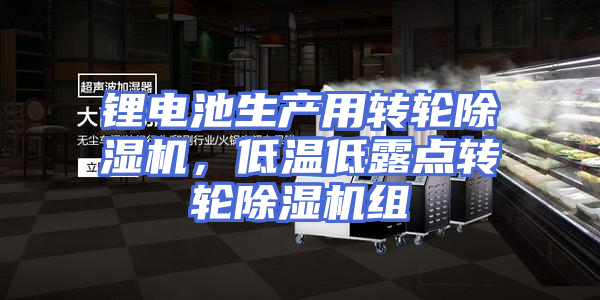 锂电池生产用转轮除湿机，低温低露点转轮除湿机组