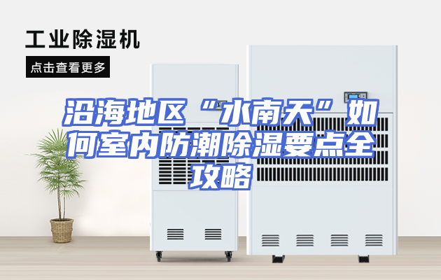 沿海地区“水南天”如何室内防潮除湿要点全攻略