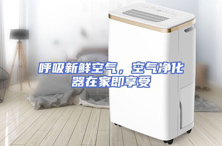 呼吸新鲜空气，空气净化器在家即享受