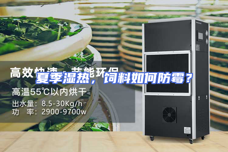 夏季湿热，饲料如何防霉？