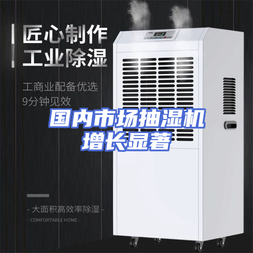 国内市场抽湿机增长显著