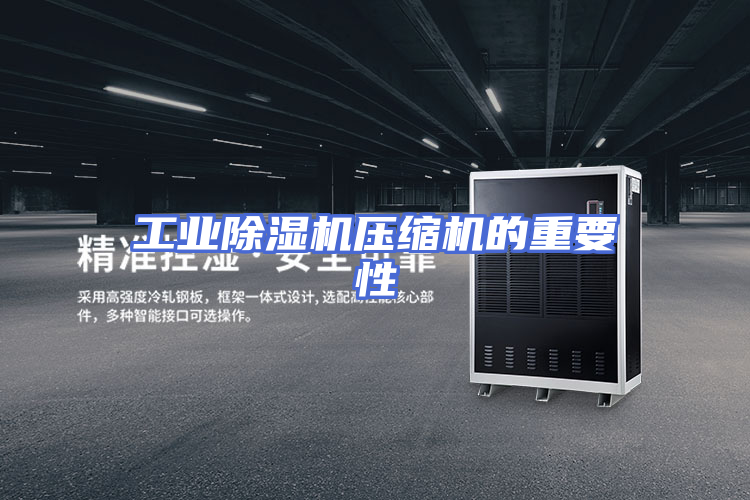 工业除湿机压缩机的重要性