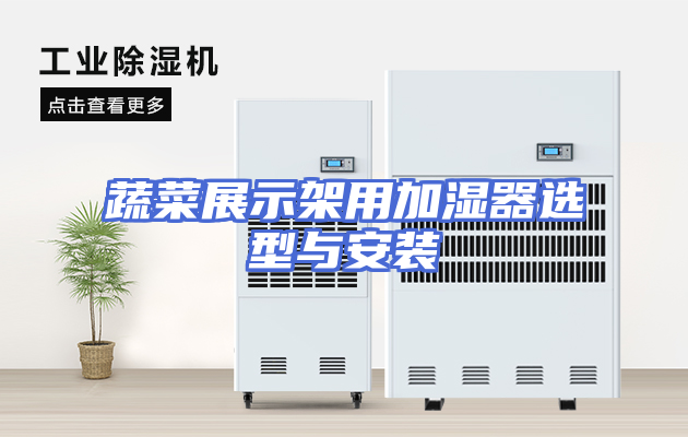 蔬菜展示架用加湿器选型与安装