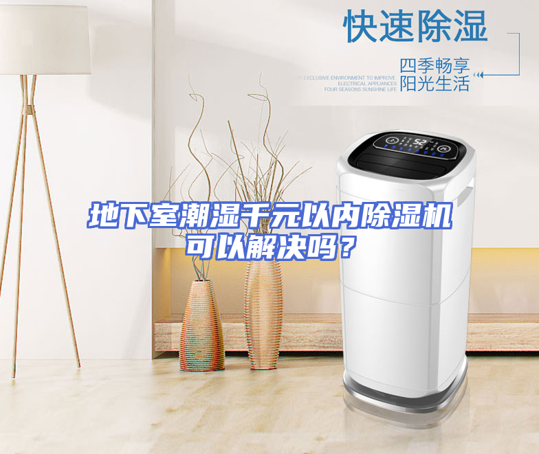 地下室潮湿千元以内除湿机可以解决吗？