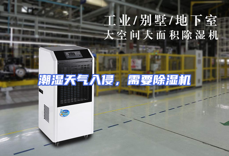 潮湿天气入侵，需要除湿机