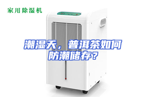潮湿天，普洱茶如何防潮储存？