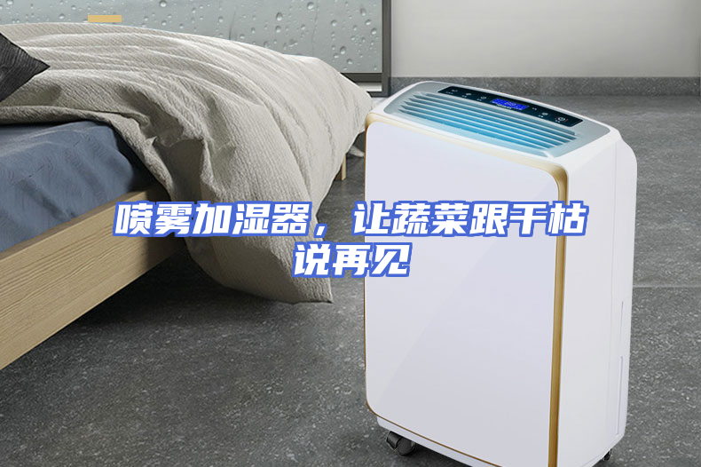 喷雾加湿器，让蔬菜跟干枯说再见