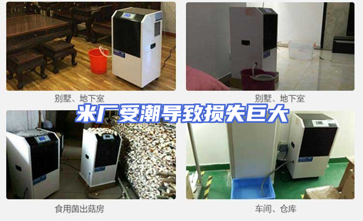 米厂受潮导致损失巨大