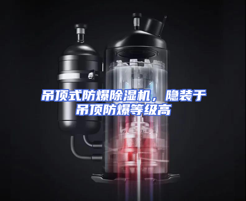 吊顶式防爆除湿机，隐装于吊顶防爆等级高