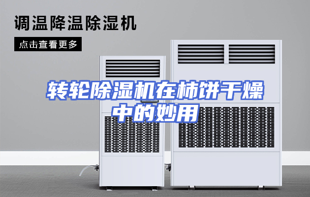 转轮除湿机在柿饼干燥中的妙用