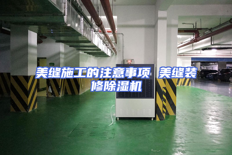 美缝施工的注意事项 美缝装修除湿机