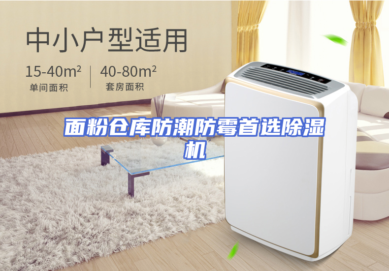 面粉仓库防潮防霉首选除湿机