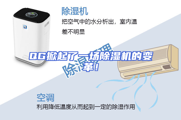 QG掀起了一场除湿机的变革！