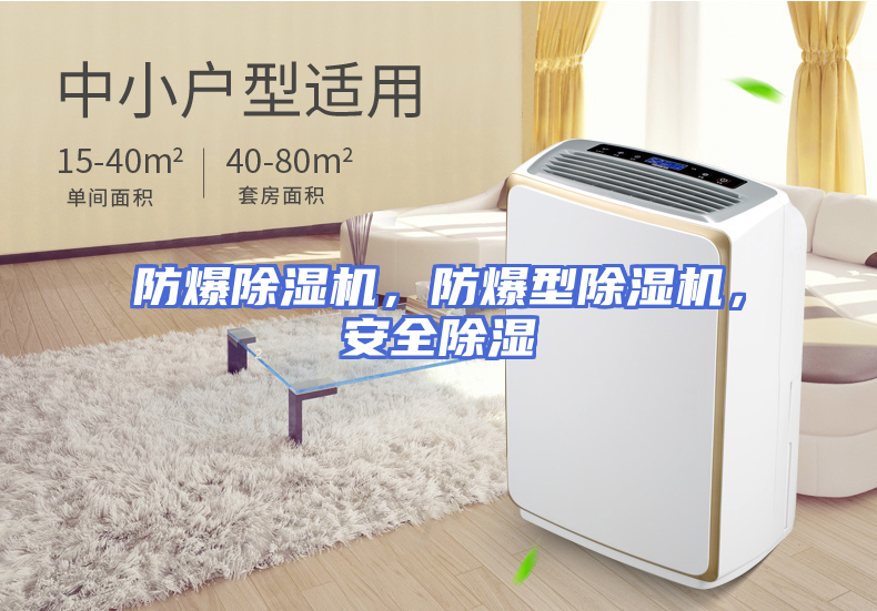 防爆除湿机，防爆型除湿机，安全除湿