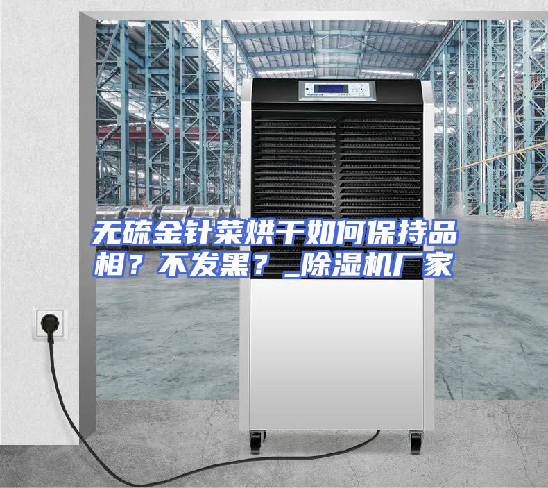 无硫金针菜烘干如何保持品相？不发黑？_除湿机厂家