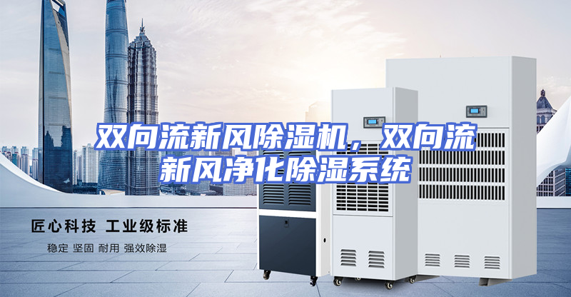 双向流新风除湿机，双向流新风净化除湿系统