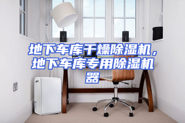 地下车库干燥除湿机，地下车库专用除湿机器