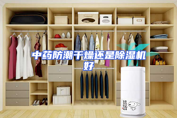 中药防潮干燥还是除湿机好