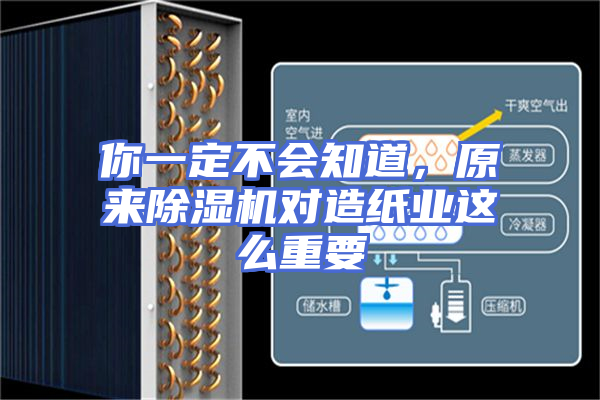 你一定不会知道，原来除湿机对造纸业这么重要