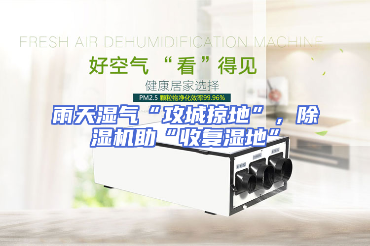 雨天湿气“攻城掠地”，除湿机助“收复湿地”