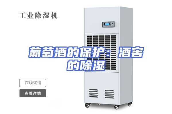 葡萄酒的保护：酒窖的除湿