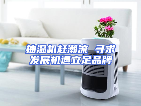 抽湿机赶潮流 寻求发展机遇立足品牌