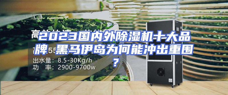 2023国内外除湿机十大品牌 黑马伊岛为何能冲出重围？