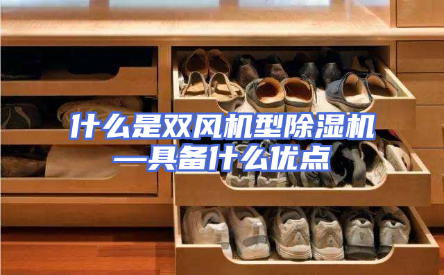 什么是双风机型除湿机—具备什么优点