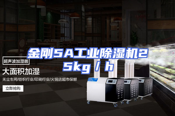 金刚5A工业除湿机25kg／h