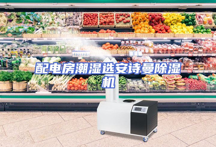配电房潮湿选安诗曼除湿机
