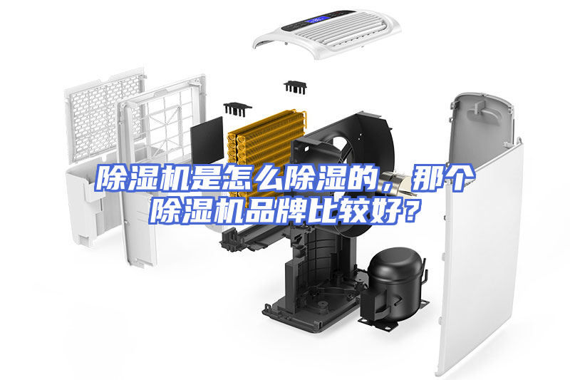 除湿机是怎么除湿的，那个除湿机品牌比较好？