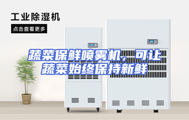 蔬菜保鲜喷雾机，可让蔬菜始终保持新鲜