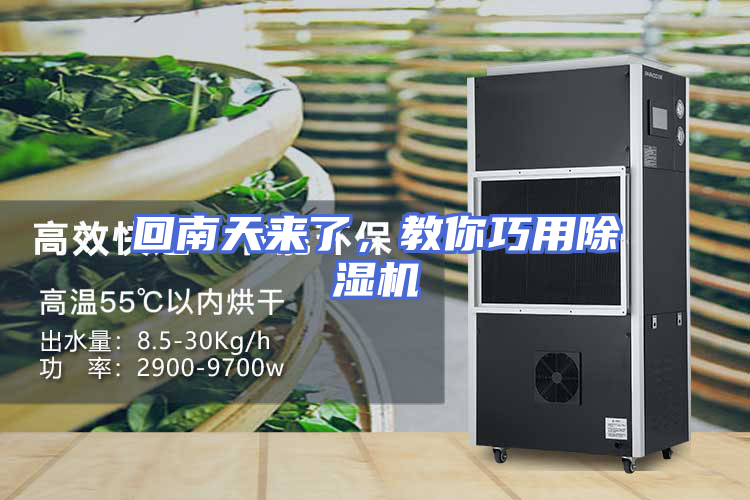 回南天来了，教你巧用除湿机