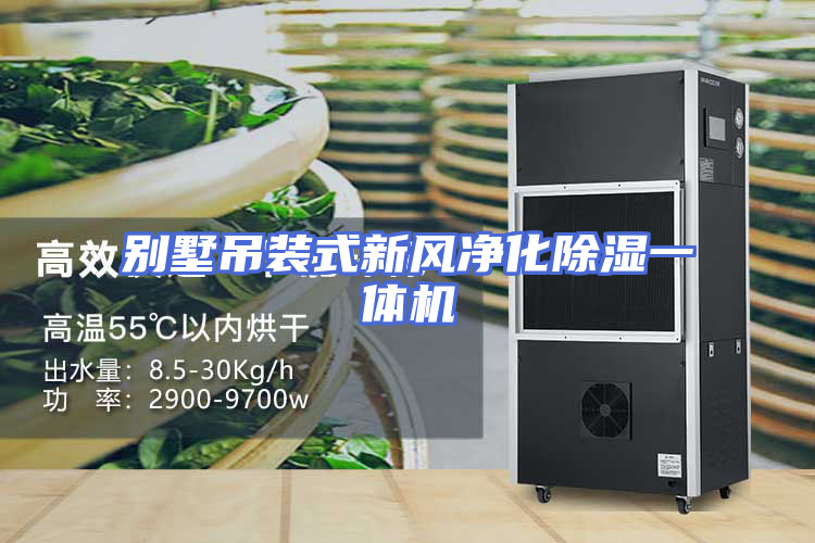 别墅吊装式新风净化除湿一体机