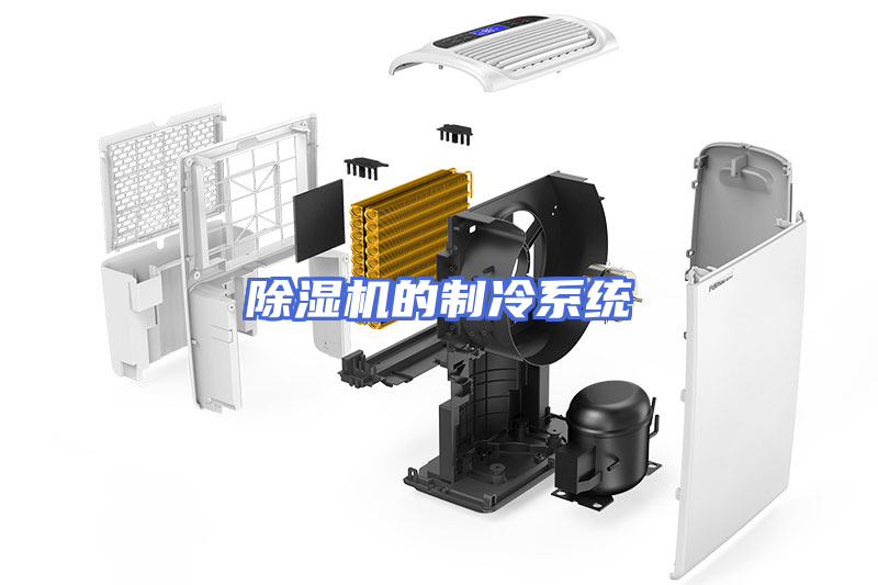 除湿机的制冷系统