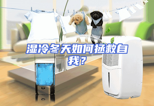 湿冷冬天如何拯救自我？