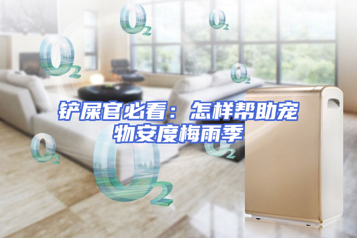 铲屎官必看：怎样帮助宠物安度梅雨季