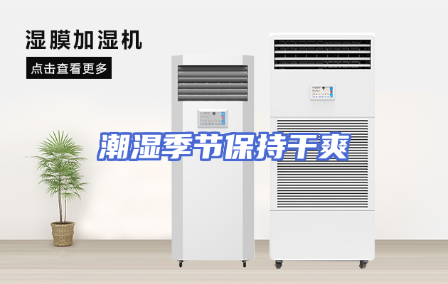 潮湿季节保持干爽