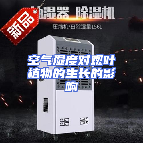 空气湿度对观叶植物的生长的影响