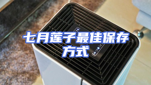 七月莲子最佳保存方式
