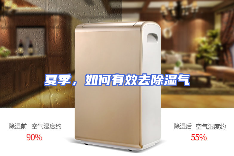 夏季，如何有效去除湿气