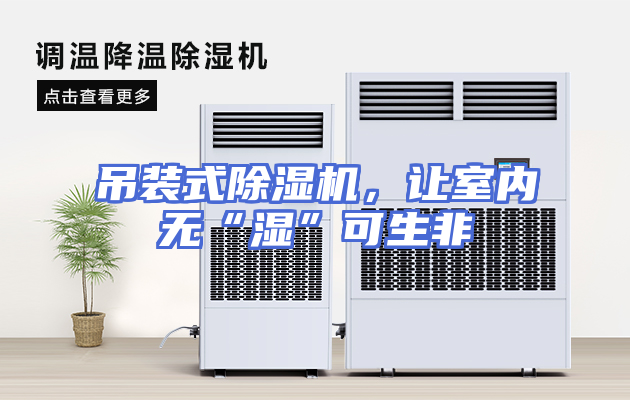 吊装式除湿机，让室内无“湿”可生非
