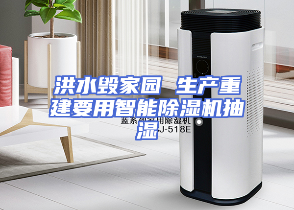 洪水毁家园 生产重建要用智能除湿机抽湿
