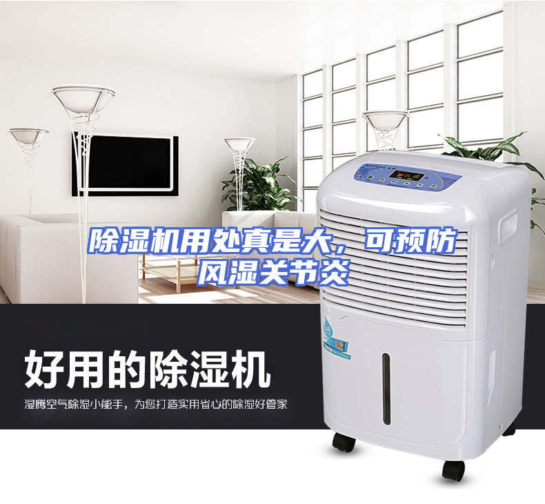除湿机用处真是大，可预防风湿关节炎