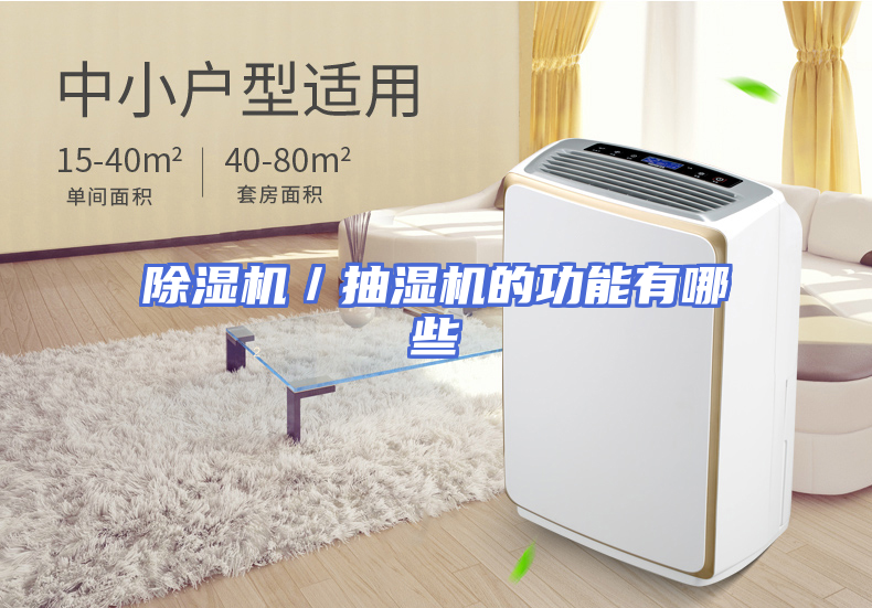 除湿机／抽湿机的功能有哪些