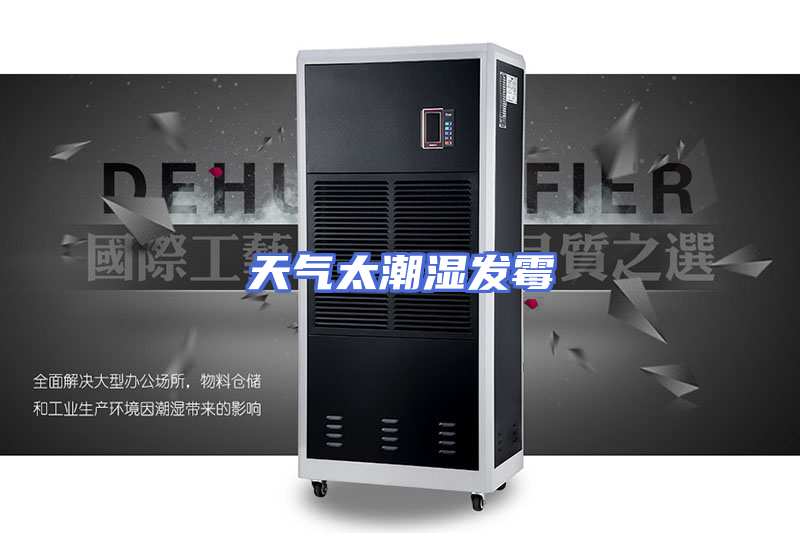 天气太潮湿发霉