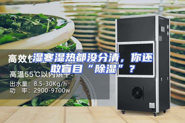 湿寒湿热都没分清，你还敢盲目“除湿”？
