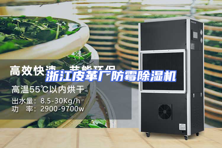 浙江皮革厂防霉除湿机