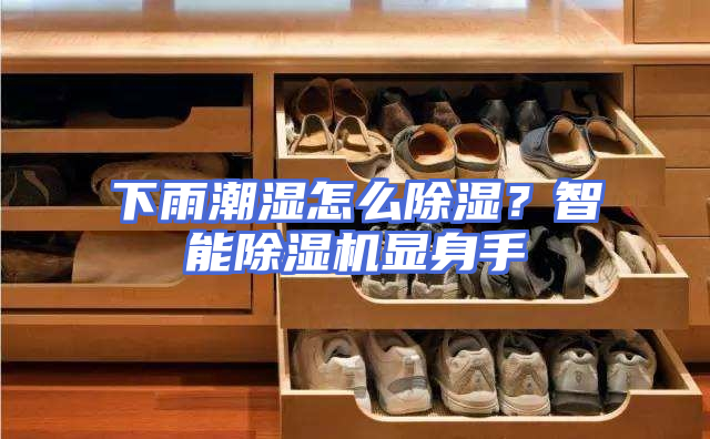 下雨潮湿怎么除湿？智能除湿机显身手